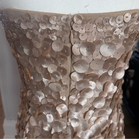 ADRIANNA PAPELL Strapless Cocktail Dress, Prom Dress, Wedding Sz 10 - Picture 3 of 9